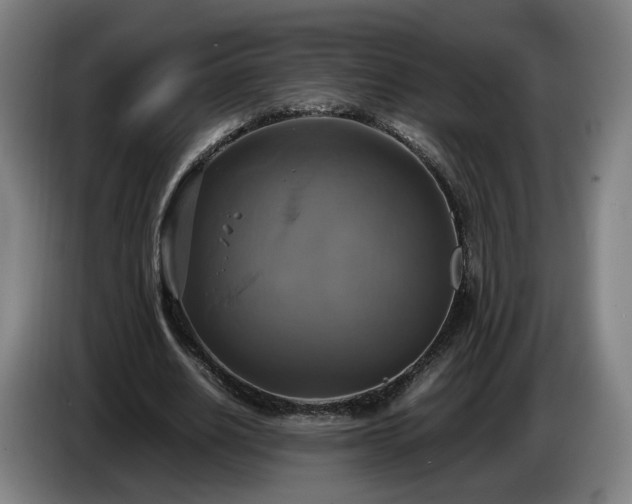 X0000086760630200704201746