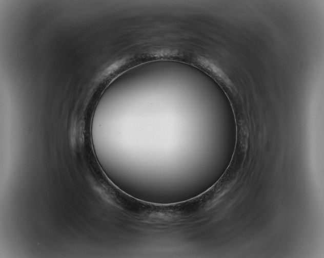 X0000086760631200704201746