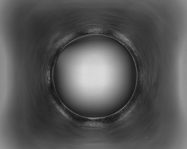 X0000086760633200704201746
