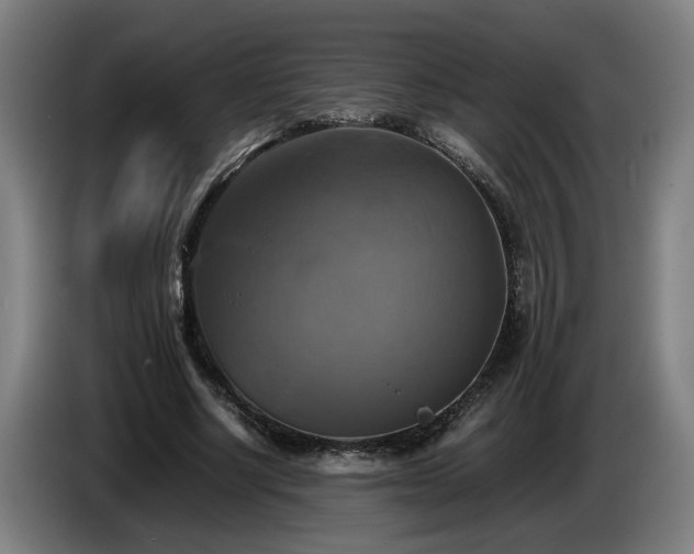X0000086760634200704201746