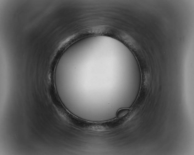 X0000086760636200704201746