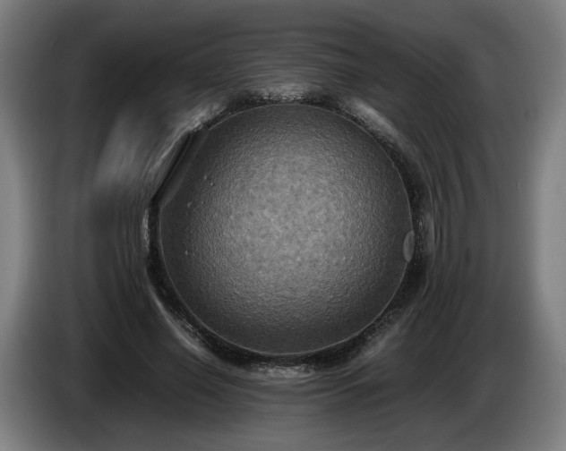 X0000086760638200704201746