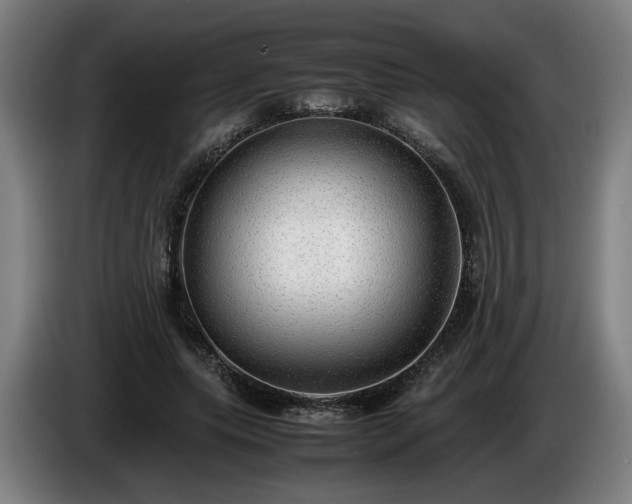 X0000086760639200704201746