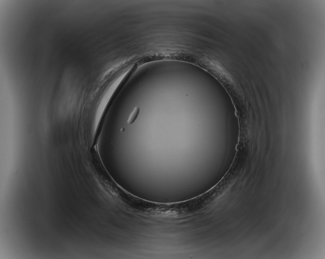 X0000086760640200704201746