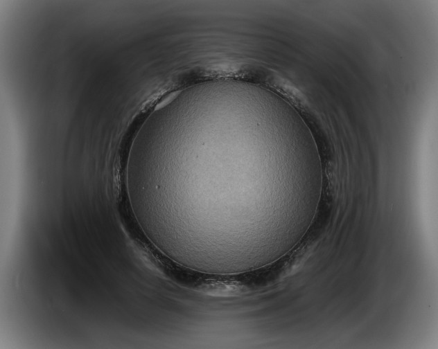 X0000086760642200704201746