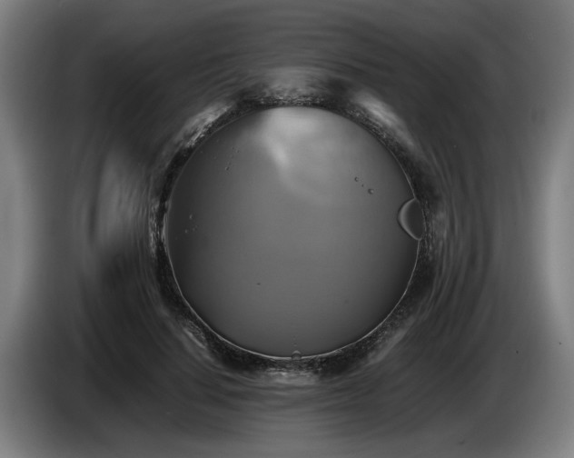 X0000086760644200704201746