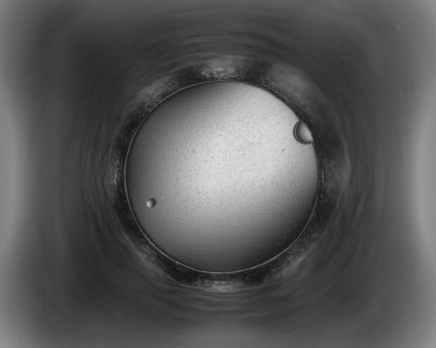 X0000086760645200704201746