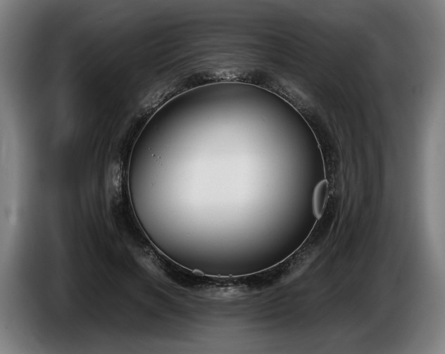 X0000086760646200704201746