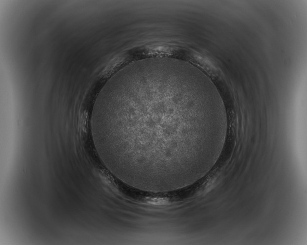 X0000086760649200704201746