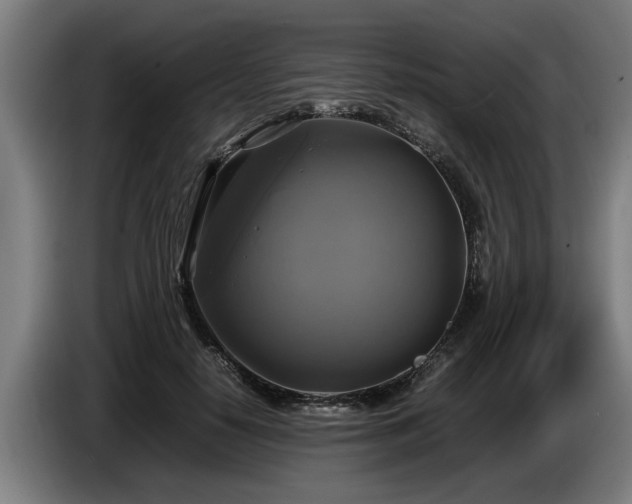 X0000086760650200704201746