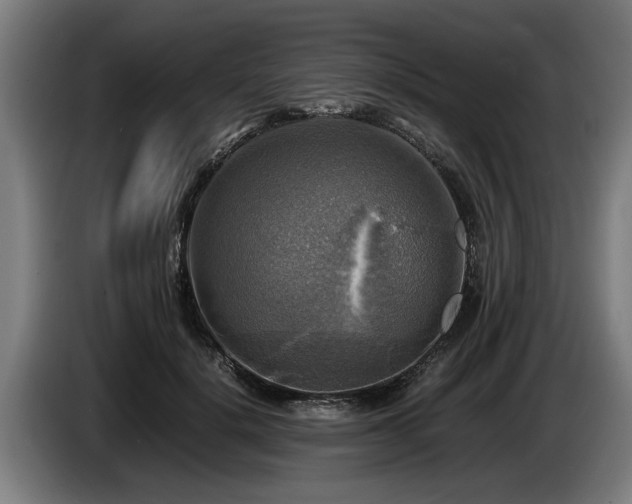 X0000086760652200704201746