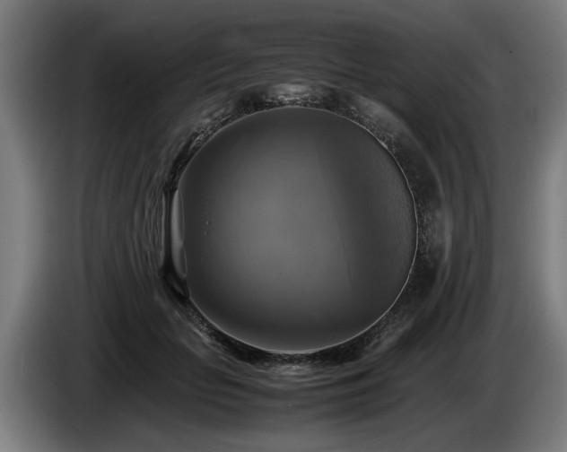 X0000086760653200704201746