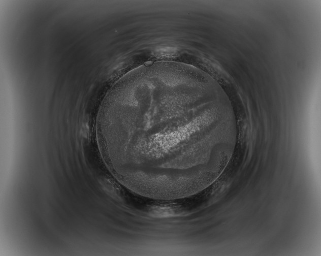 X0000086760655200704201746