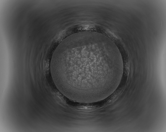 X0000086760657200704201746