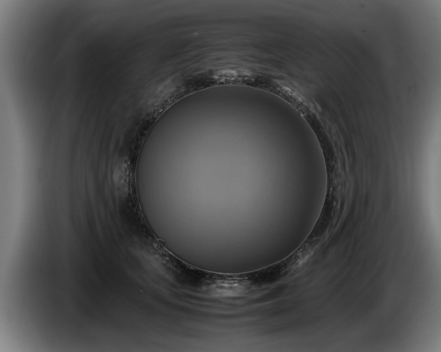 X0000086760659200704201746