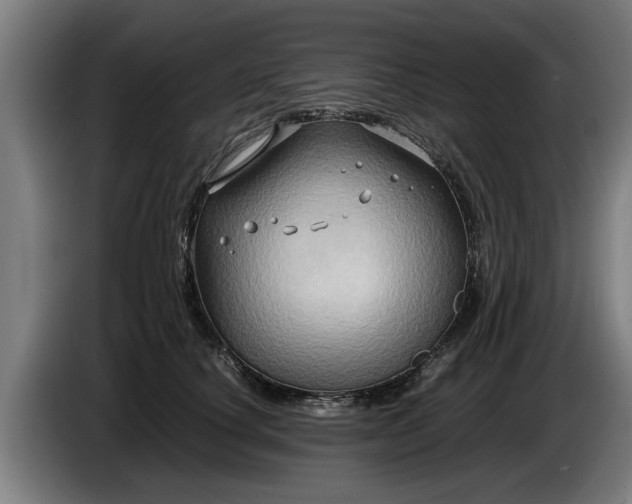 X0000086760660200704201746