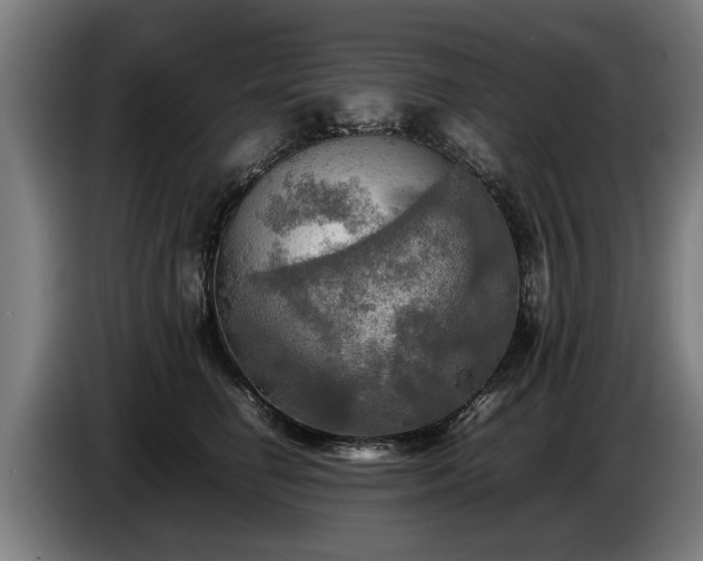 X0000086760662200704201746