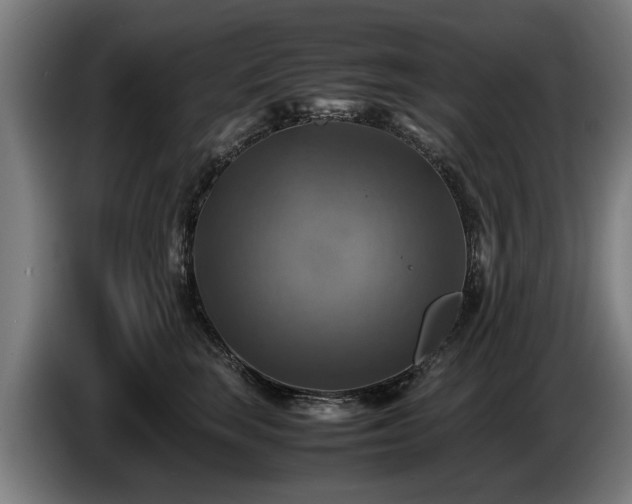 X0000086760663200704201746