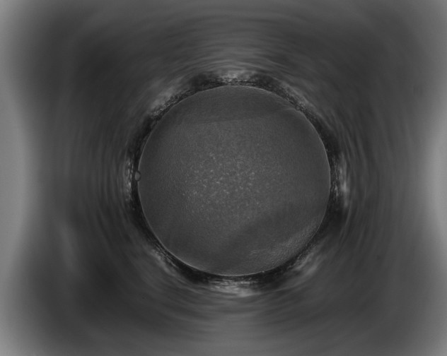 X0000086760664200704201746