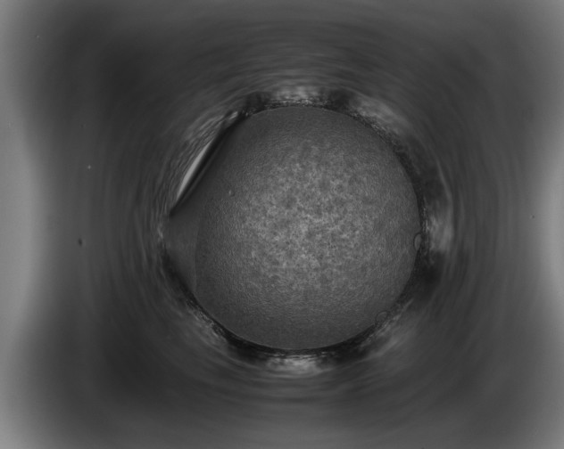 X0000086760665200704201746
