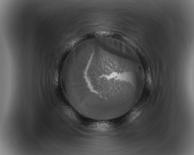 X0000086760668200704201746