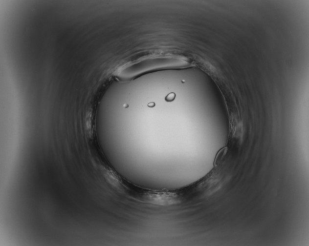 X0000086760670200704201746