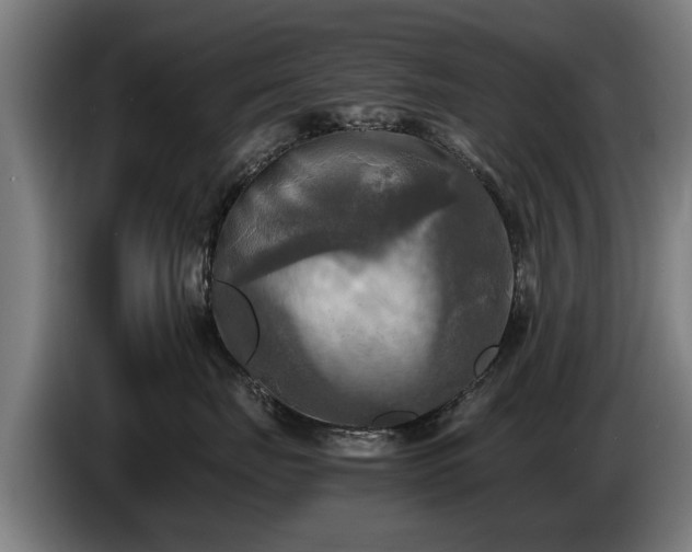 X0000086760671200704201746