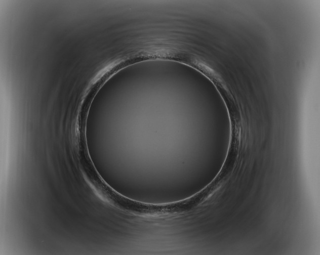 X0000086760674200704201745