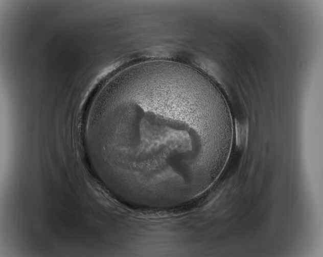 X0000086760675200704201745