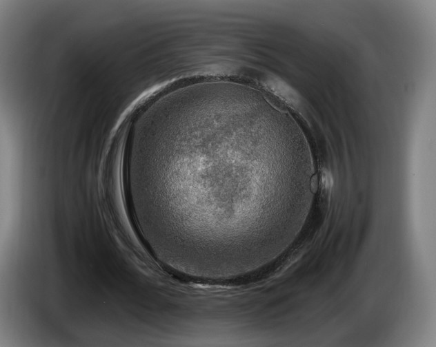 X0000086760676200704201745