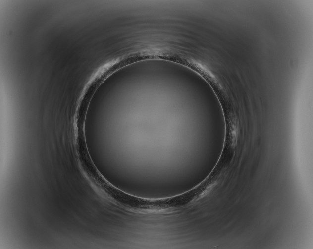 X0000086760678200704201745