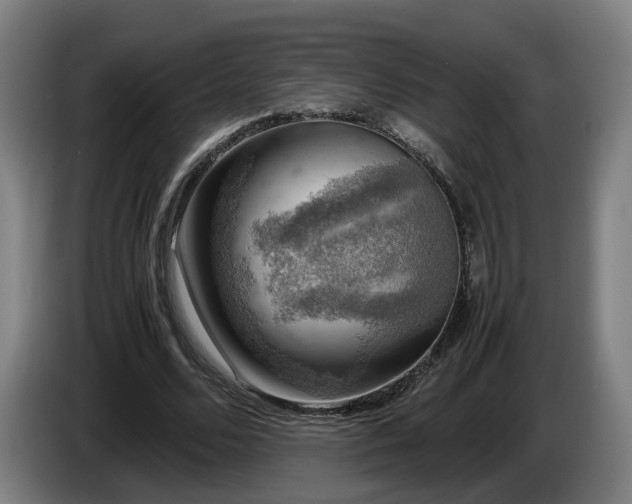 X0000086760680200704201745