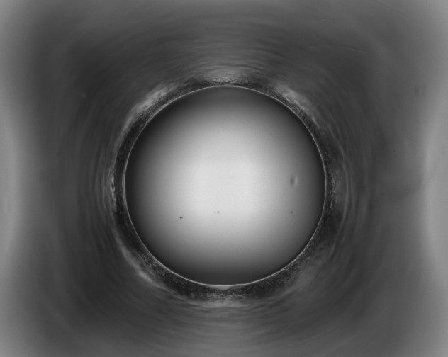 X0000086760682200704201745