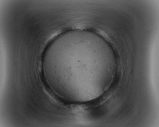 X0000086760683200704201745