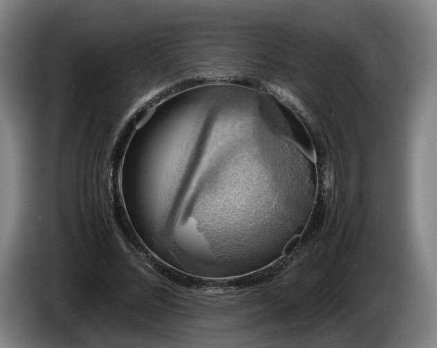 X0000086760684200704201745