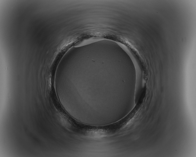 X0000086760685200704201745