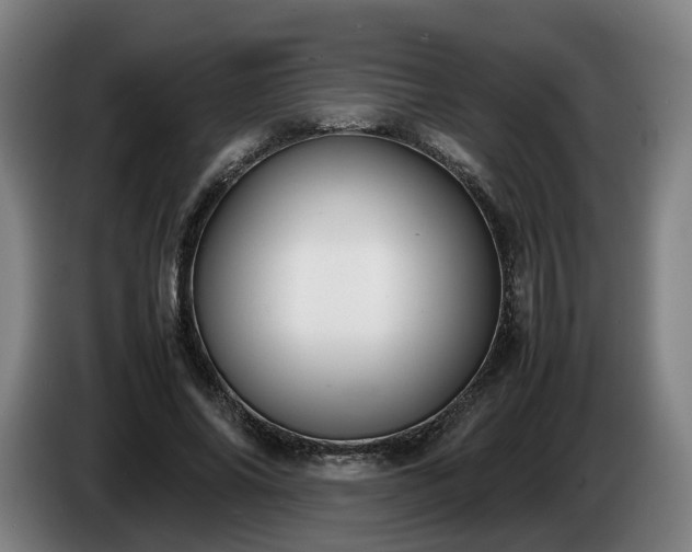 X0000086760686200704201745