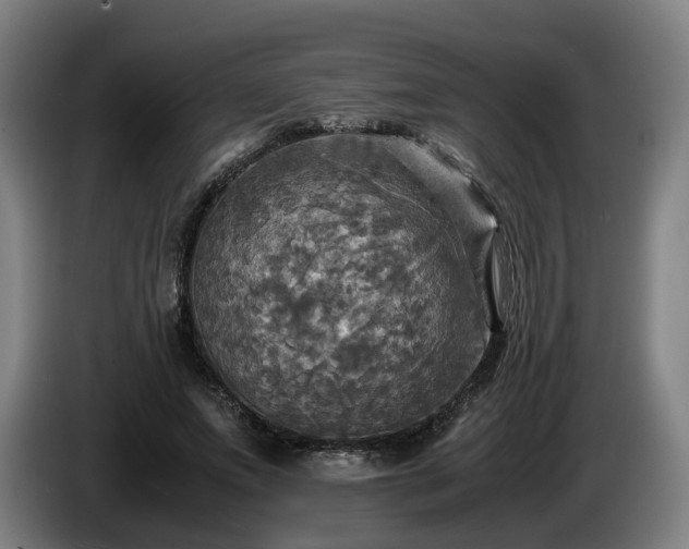 X0000086760687200704201745