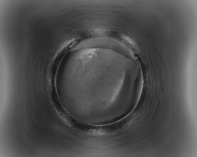 X0000086760688200704201745