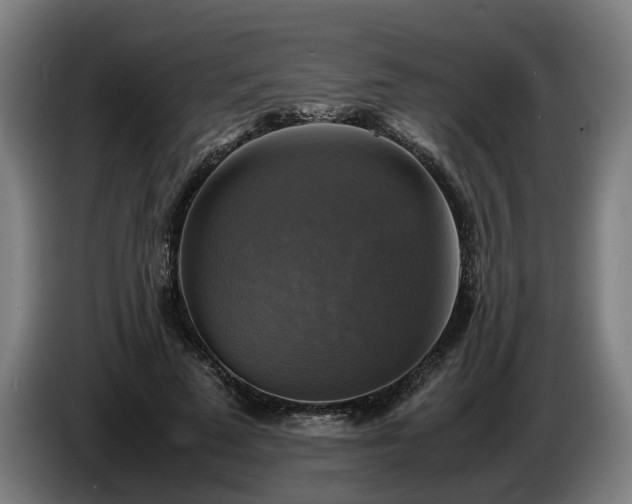 X0000086760689200704201745