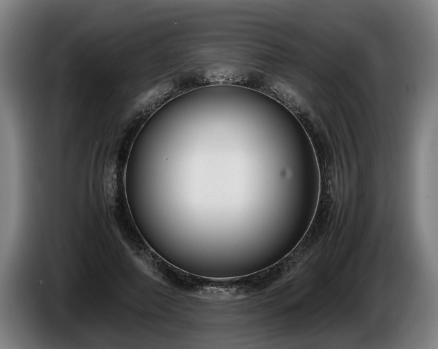 X0000086760690200704201745