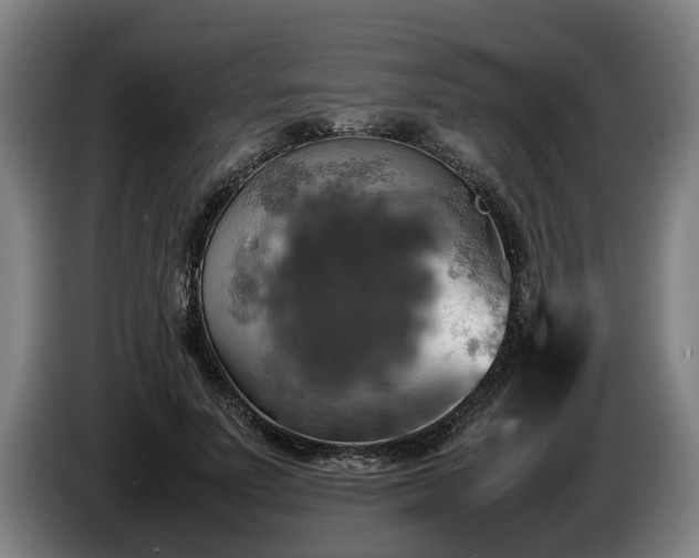 X0000086760691200704201745