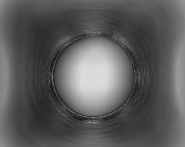 X0000086760692200704201745