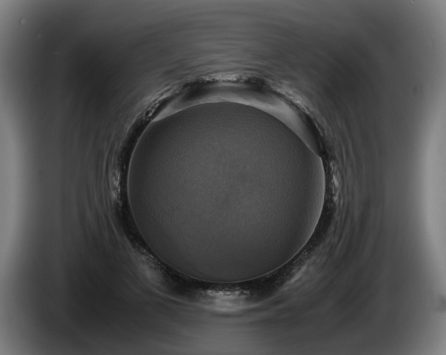 X0000086760693200704201745