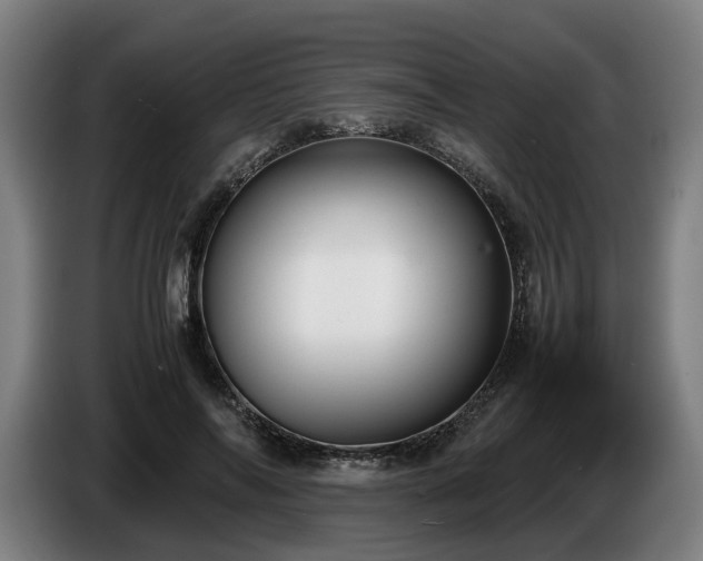 X0000086760694200704201745