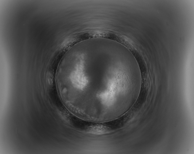 X0000086760695200704201745