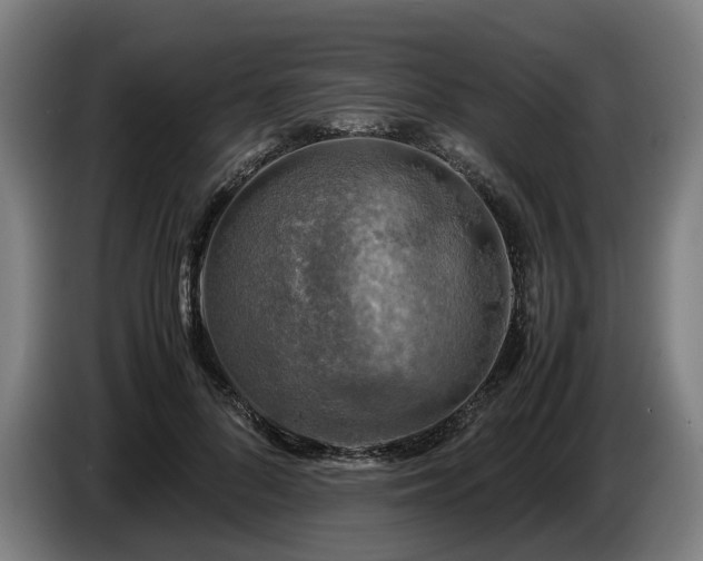 X0000086760696200704201745