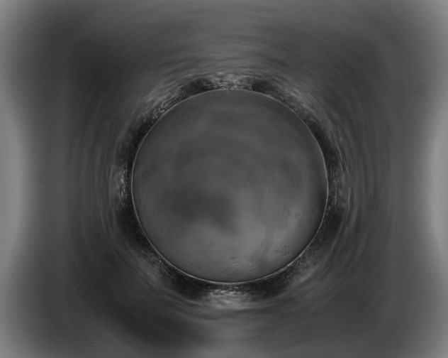 X0000086760699200704201745
