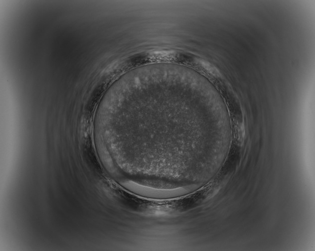 X0000086760701200704201745