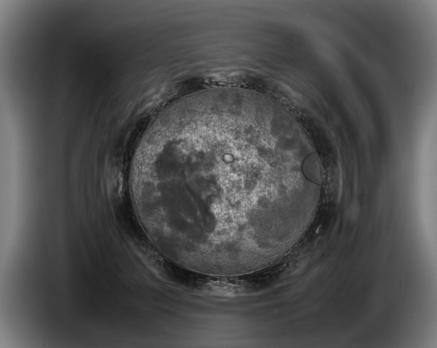 X0000086760703200704201745